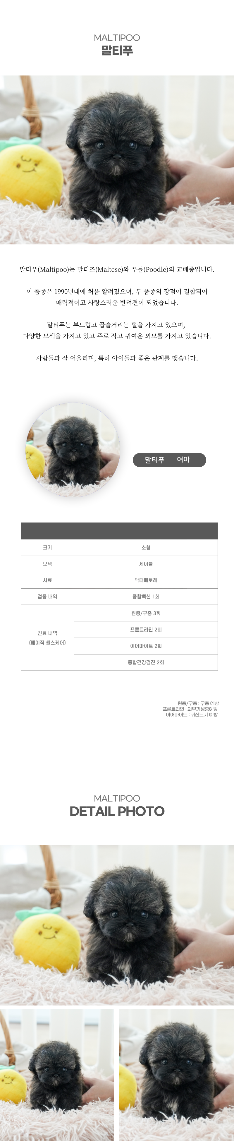 말티푸_상세이미지_2